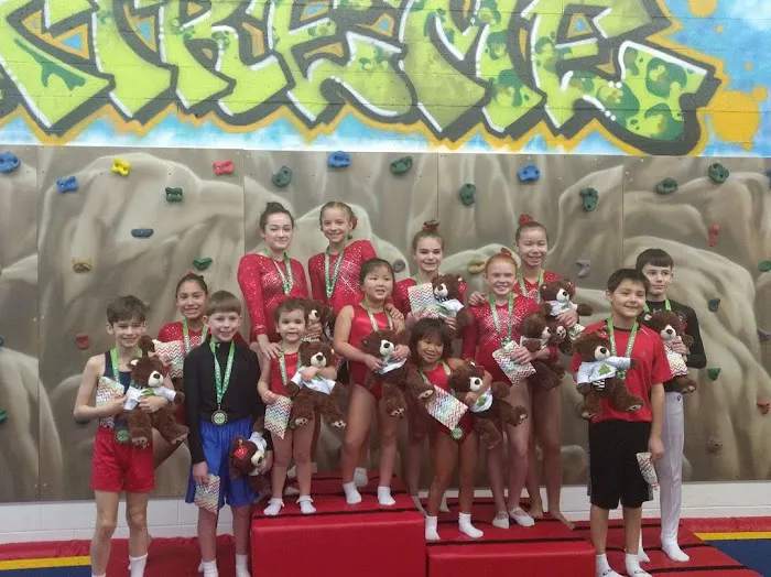 MN Twisters, Trampoline & Tumbling Picture 2