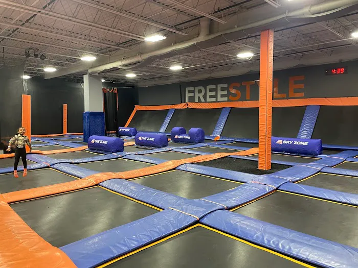 Sky Zone Trampoline Park Picture 1