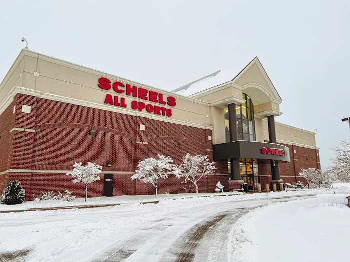 Scheels Picture 2