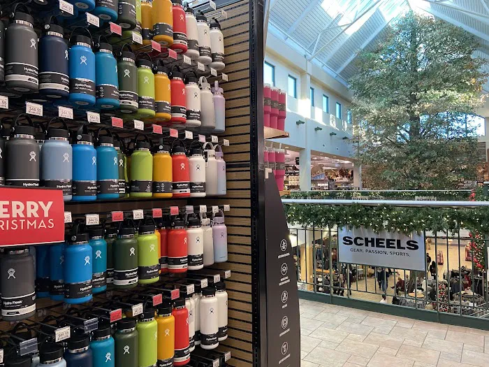 Scheels Picture 1