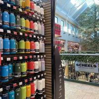 Scheels ico