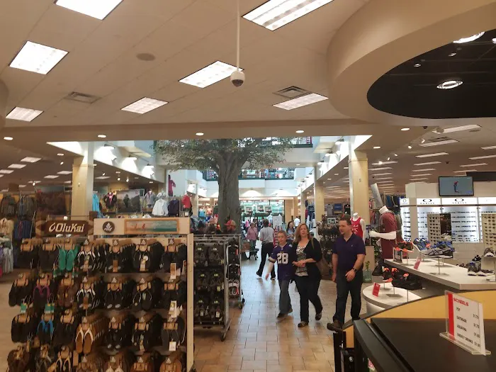 Scheels Picture 9