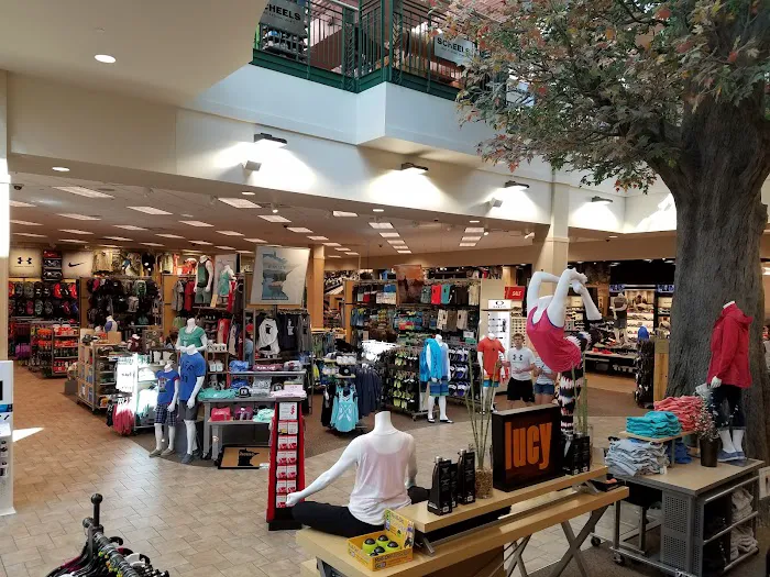 Scheels Picture 6