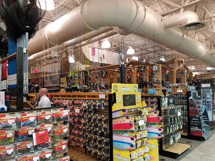 Scheels Picture 10