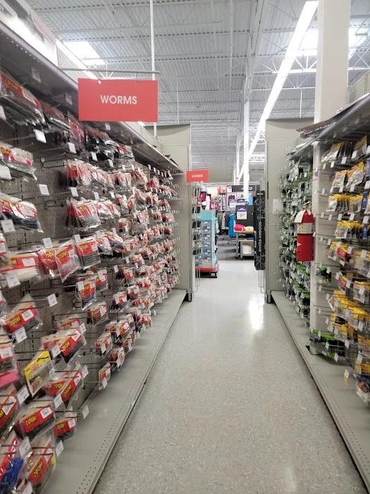 Academy Sports + Outdoors Picture 1