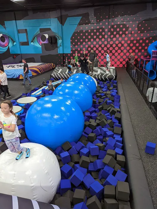 Sky Zone Trampoline Park Picture 1
