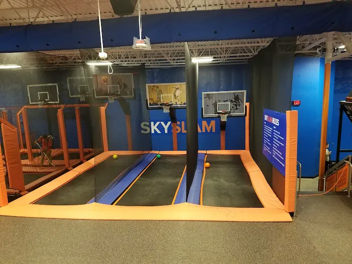 Sky Zone Trampoline Park Picture 10