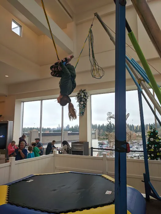 Bungee Trampoline Picture 2