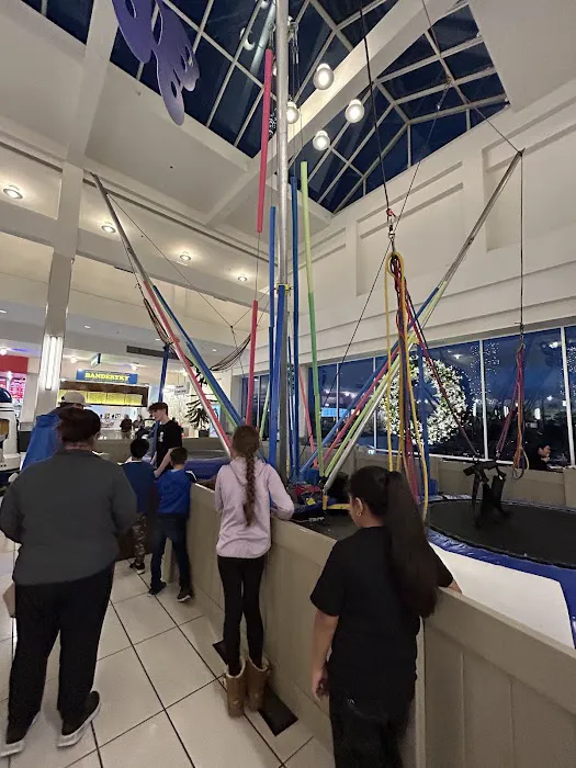 Bungee Trampoline Picture 1