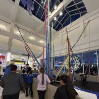 Bungee Trampoline ico