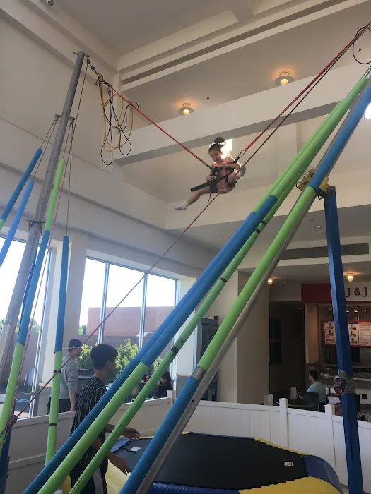 Bungee Trampoline Picture 5