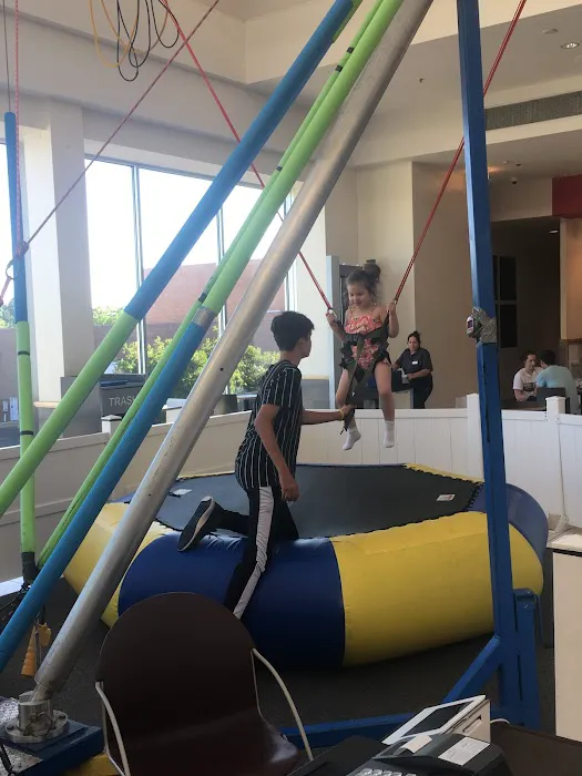 Bungee Trampoline Picture 4