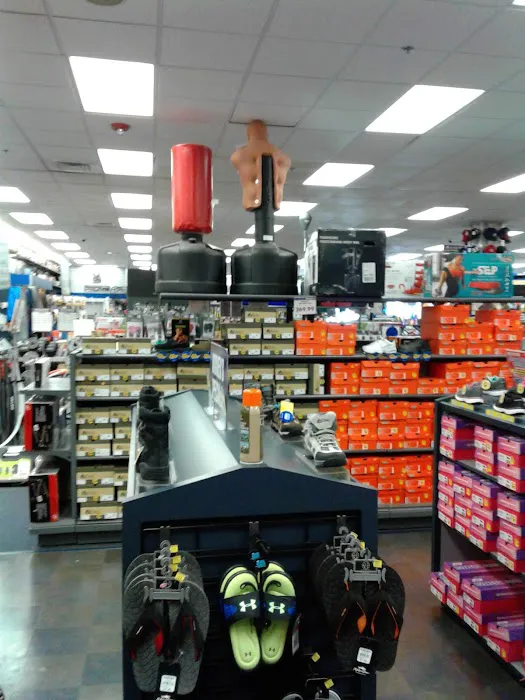 Big 5 Sporting Goods Picture 7