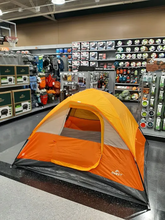 DICK'S Sporting Goods Picture 4