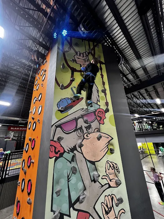 Trampoline Zone and Adventure Park Bend Picture 6