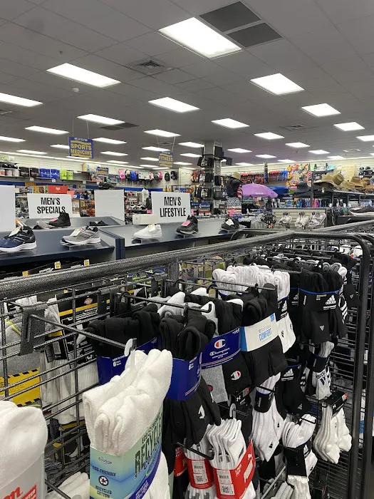 Big 5 Sporting Goods Picture 6