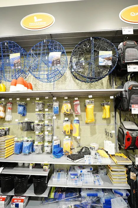 DICK'S Sporting Goods Picture 6