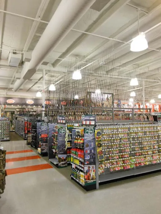 DICK'S Sporting Goods Picture 9