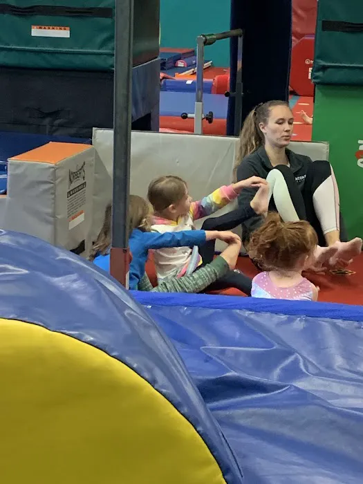 Bounce Gymnastics & Aerial Arts Center Picture 5