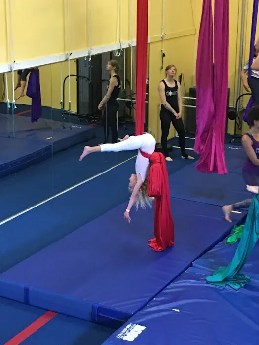 Bounce Gymnastics & Aerial Arts Center Picture 4
