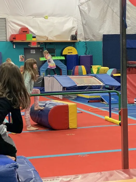 Bounce Gymnastics & Aerial Arts Center Picture 8