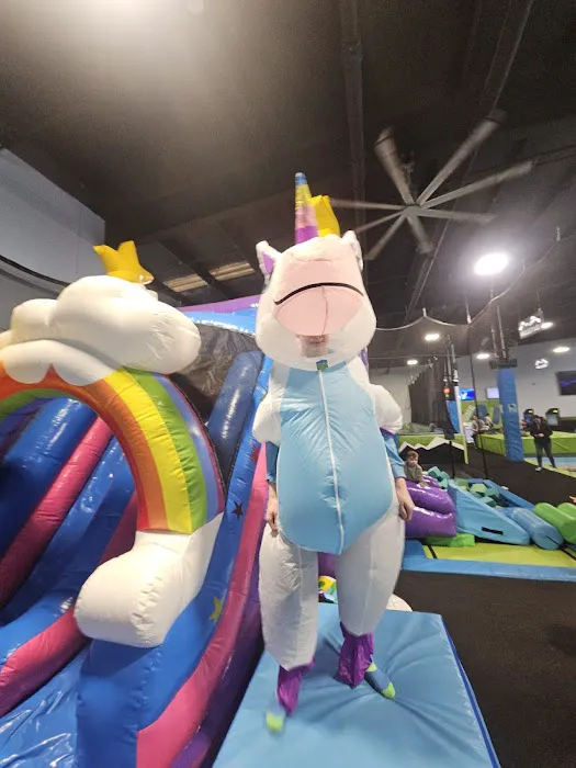 Mountain Air Trampoline Park Picture 7