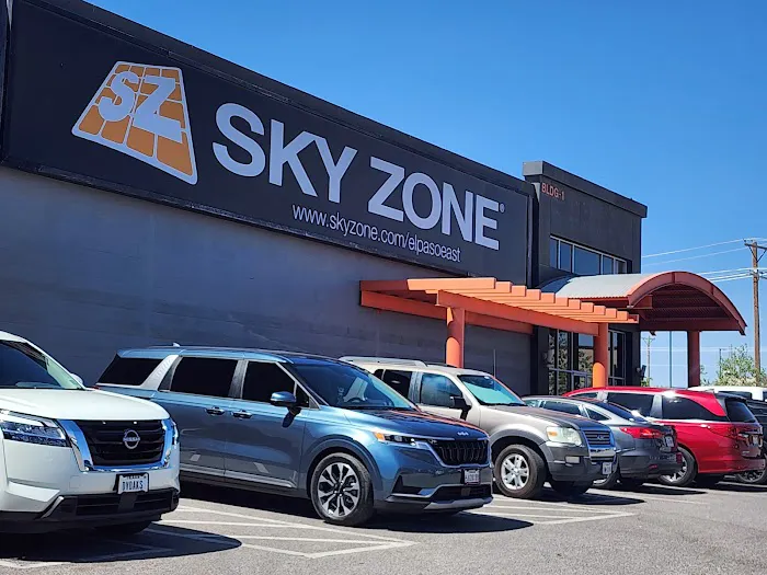 Sky Zone Trampoline Park Picture 10