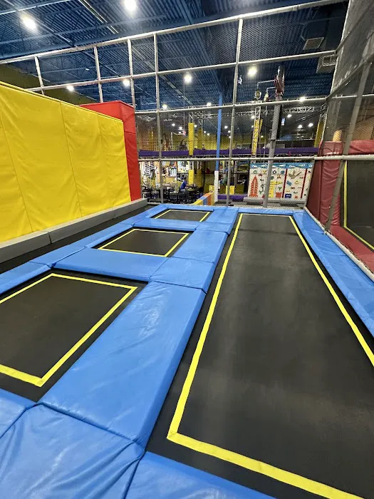 X-Zone Picture 3