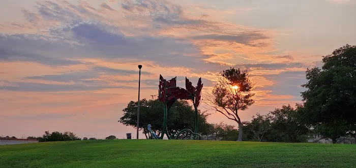 Travis White Park Picture 7