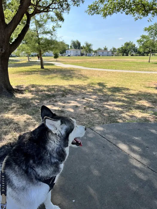 Harlow Park Picture 6