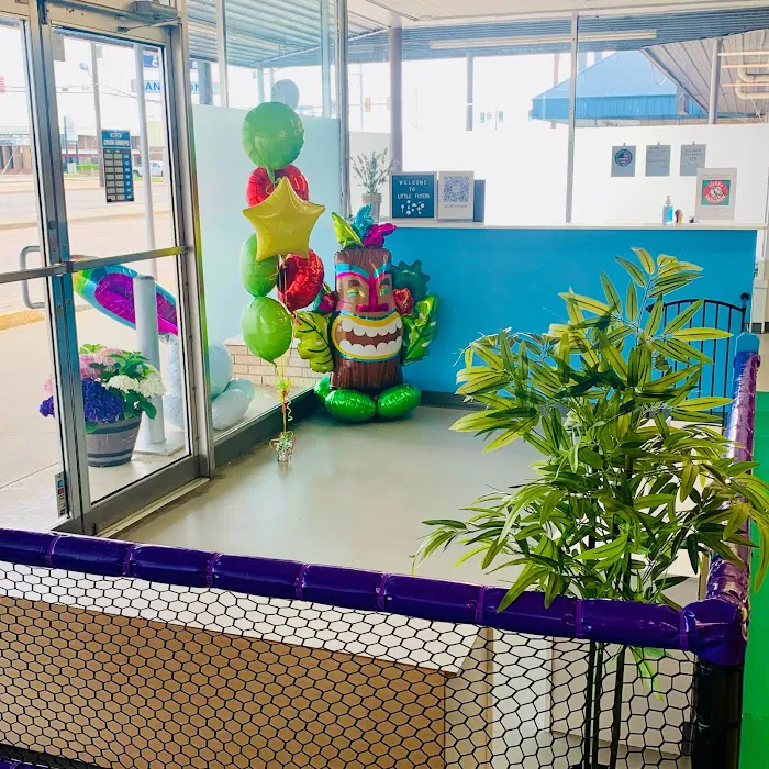 Little Flyers Indoor Playground Picture 8