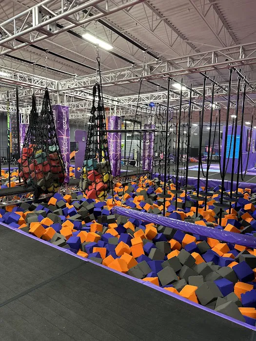 Surge Adventure Park Picture 1