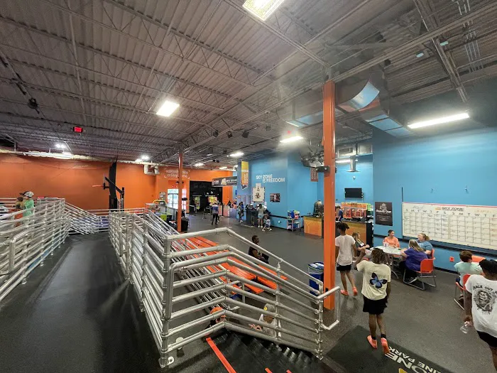 Sky Zone Picture 1