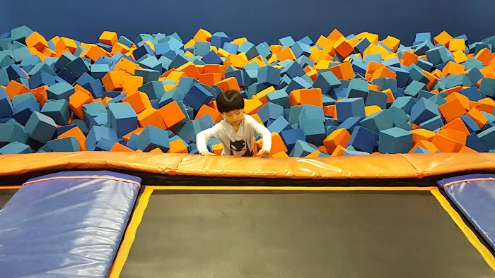 Sky Zone Picture 4