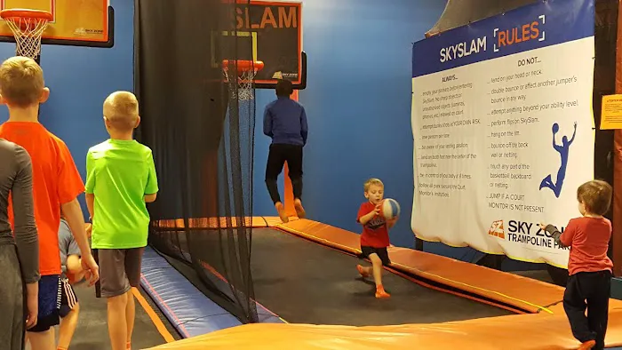 Sky Zone Picture 9