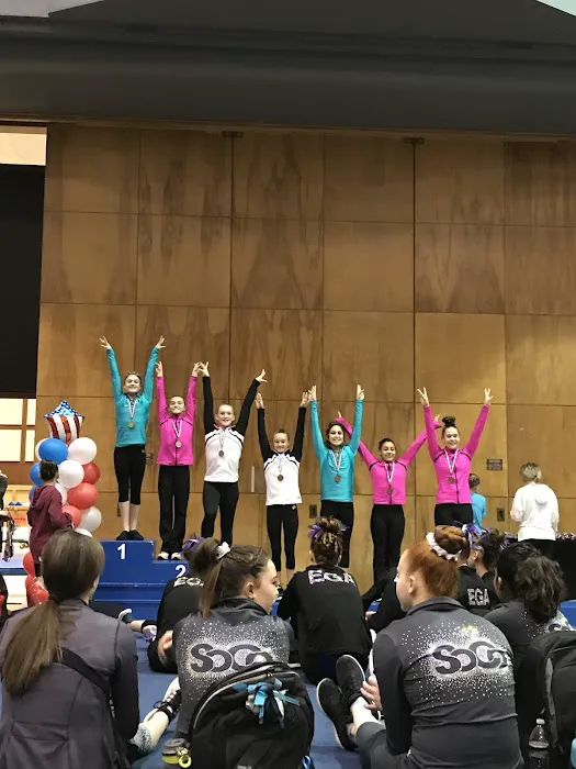 Oklahoma City Gymnastics Picture 4