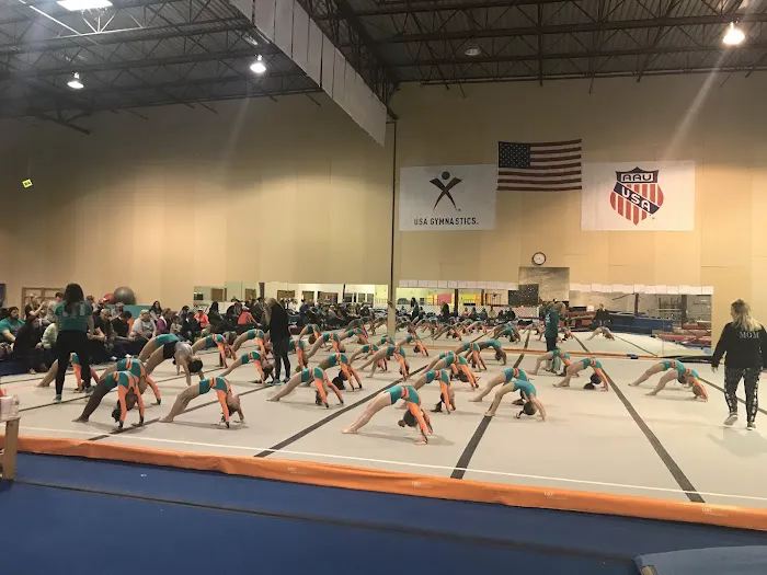 Oklahoma City Gymnastics Picture 5