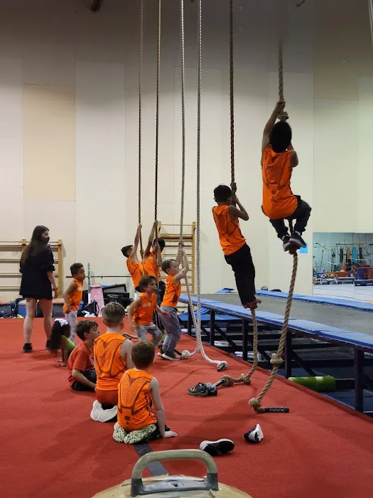 Oklahoma City Gymnastics Picture 9