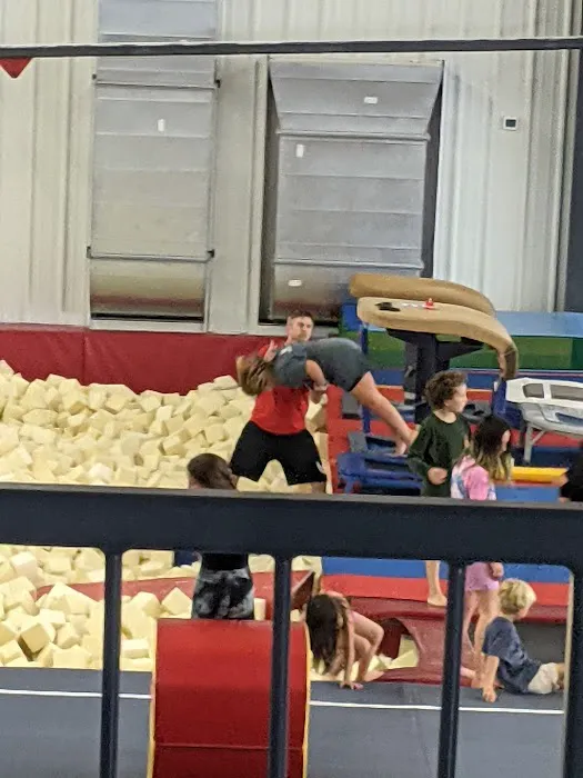 Bounce Academy Gymnastics Picture 2