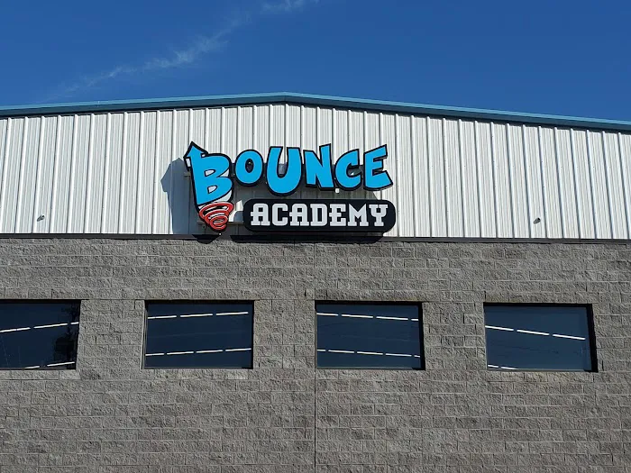 Bounce Academy Gymnastics Picture 7