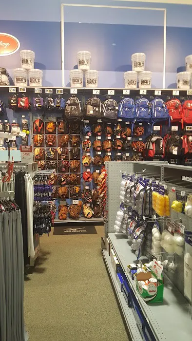 DICK'S Sporting Goods Picture 2