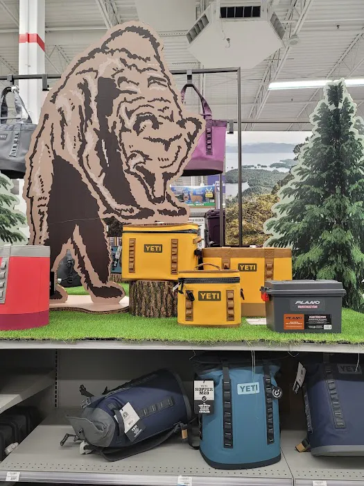 Academy Sports + Outdoors Picture 1