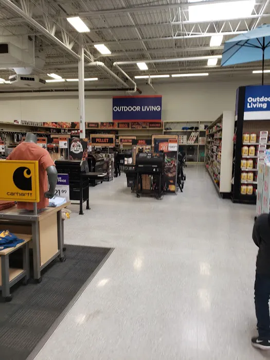 Academy Sports + Outdoors Picture 4