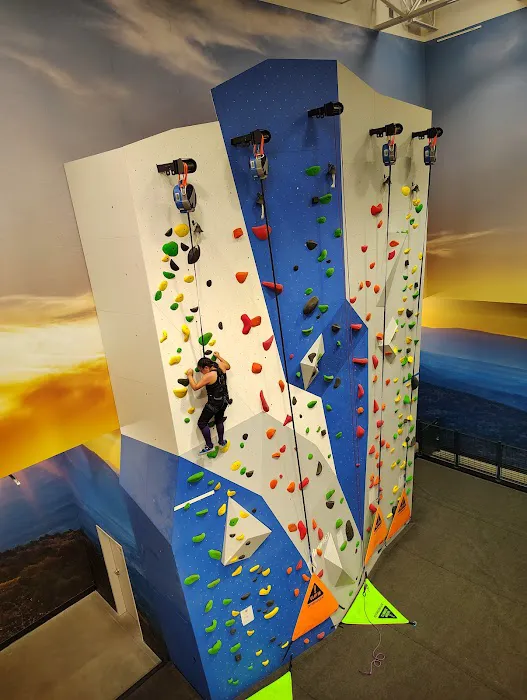 DICK'S House of Sport Picture 3