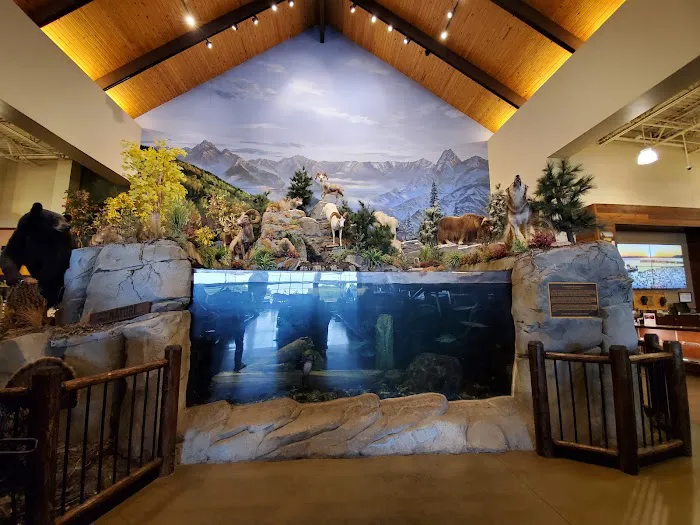 Cabela's Picture 10