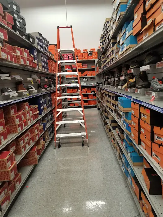 Academy Sports + Outdoors Picture 6