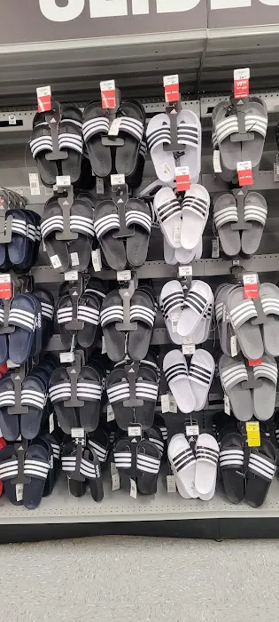 Academy Sports + Outdoors Picture 8