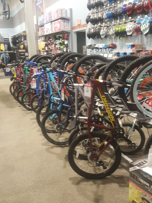 DICK'S Sporting Goods Picture 2