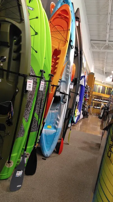 DICK'S Sporting Goods Picture 9