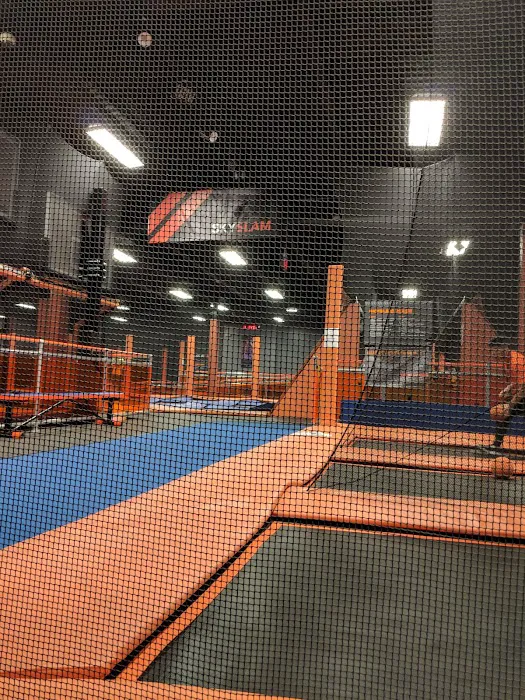 Sky Zone Trampoline Park Picture 3